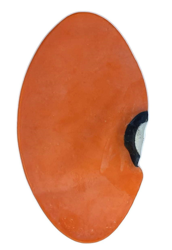 MORGAN FLOOR TO CEILING BLADDER - For Morgan Brand